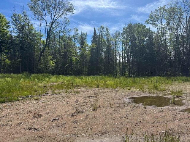 1481 Pickerel Jack Lake Road