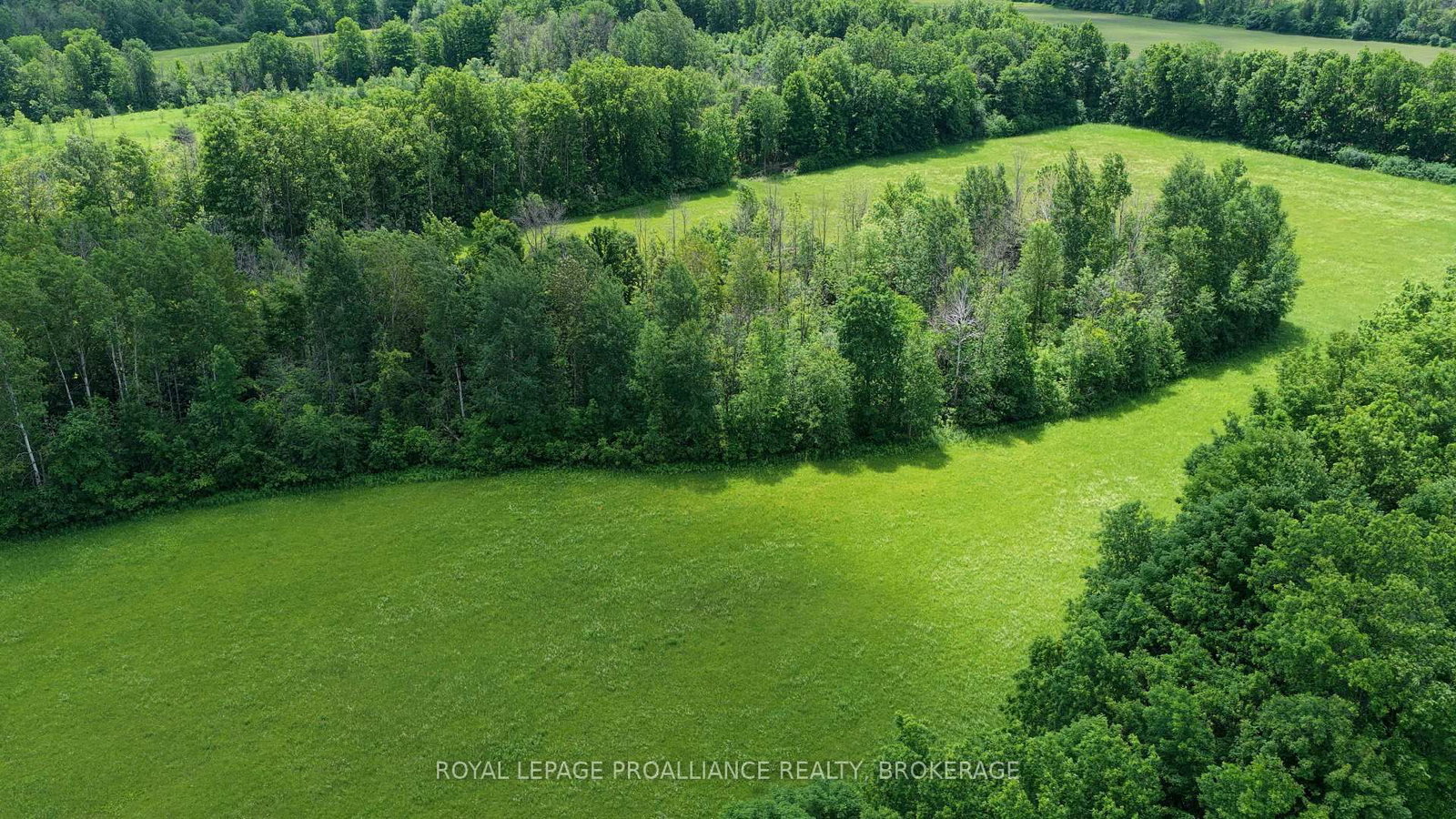 1462 COUNTY ROAD 8 • Rideau Lakes, ON photo 17