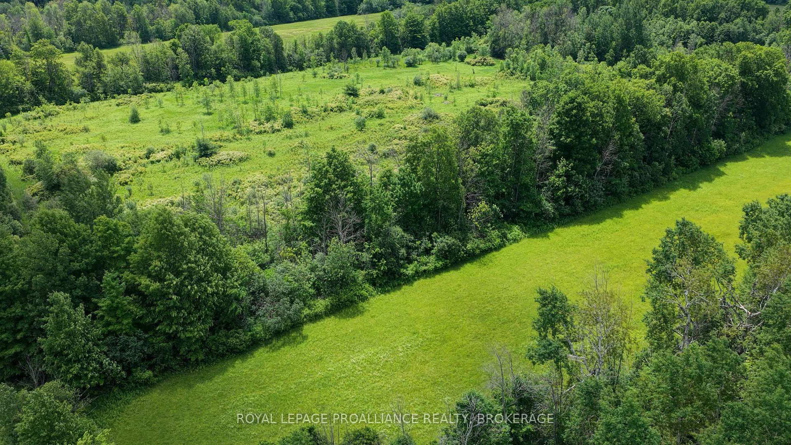 1462 COUNTY ROAD 8 • Rideau Lakes, ON photo 18