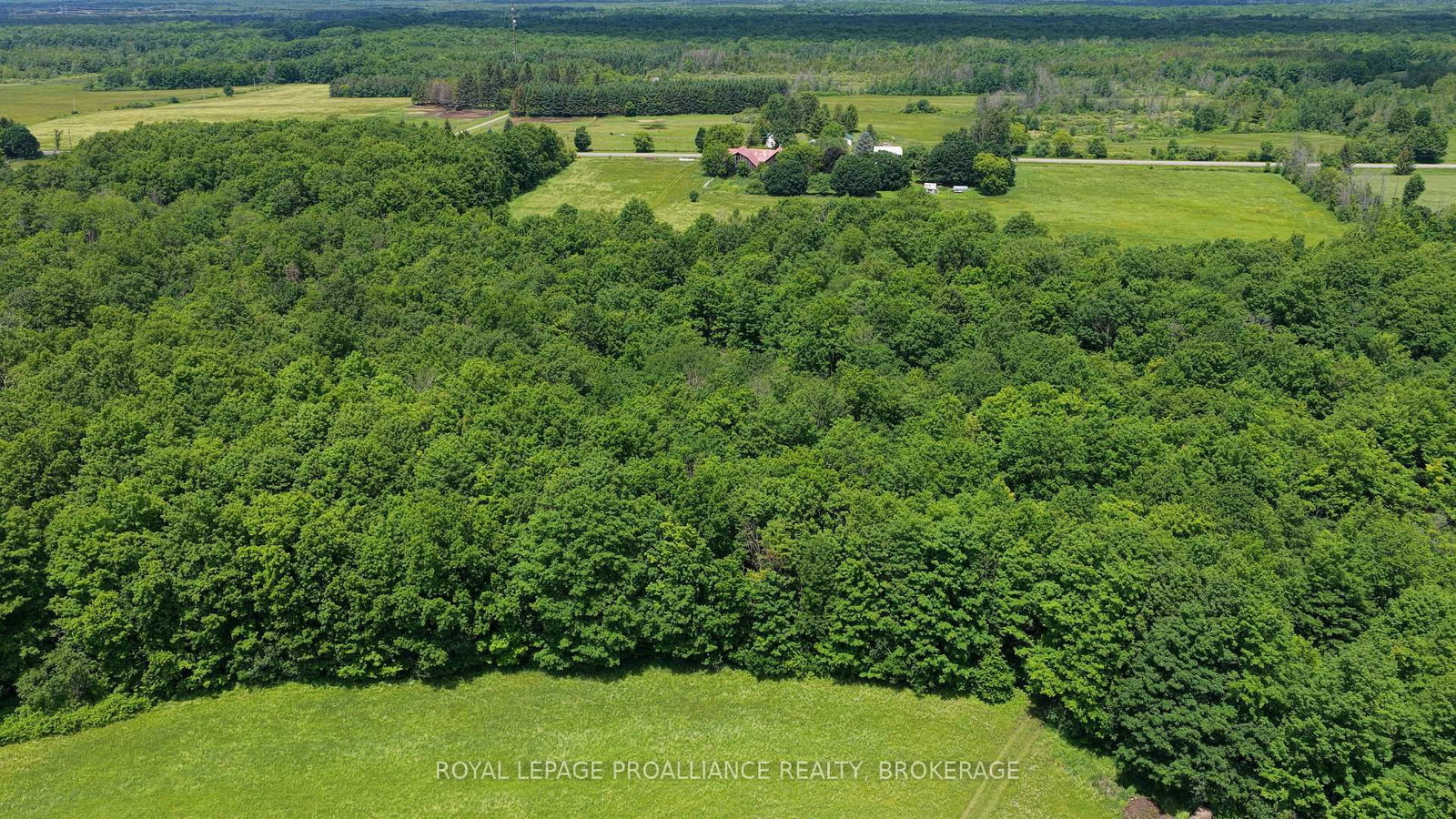 1462 COUNTY ROAD 8 • Rideau Lakes, ON photo 19