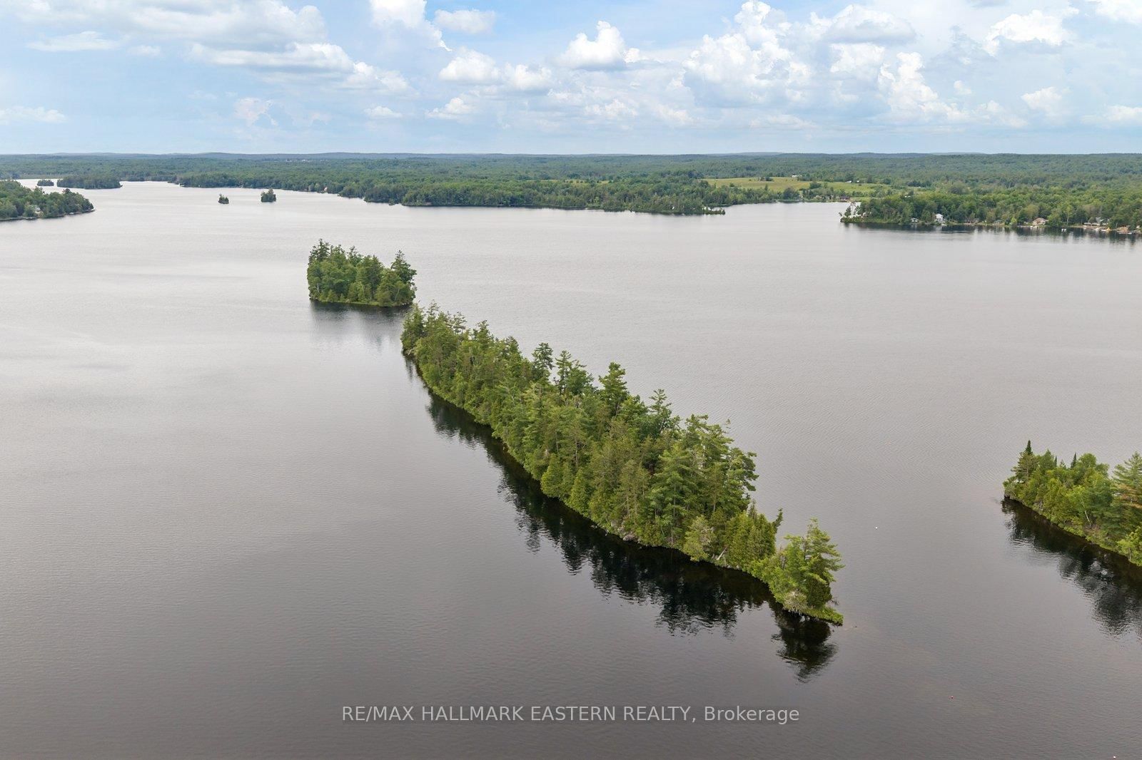 281 S STRING Island • Havelock-Belmont-Methuen, ON photo 2