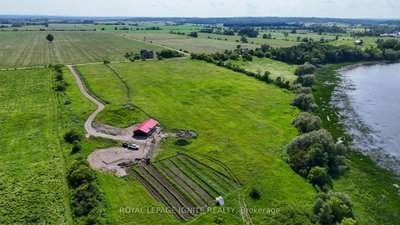 358 Faught Road • Cobden, ON photo 3
