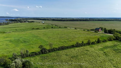358 Faught Road • Cobden, ON photo 5