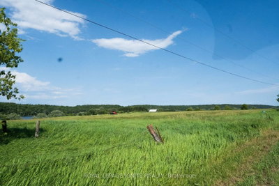 358 Faught Road • Cobden, ON photo 6
