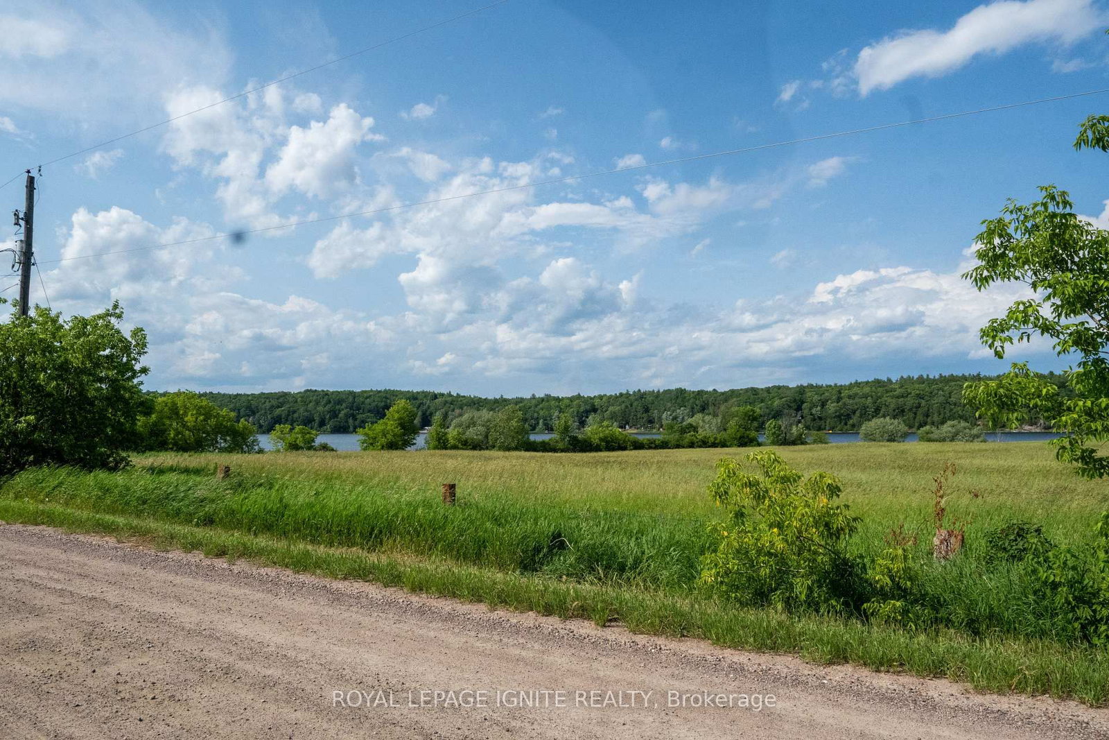 358 Faught Road • Cobden, ON photo 8