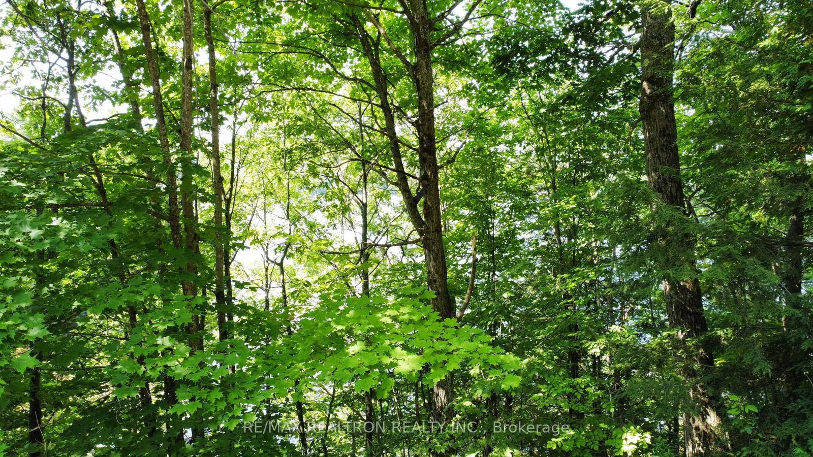 1030 McCabe Road • Lake of Bays, ON photo 7