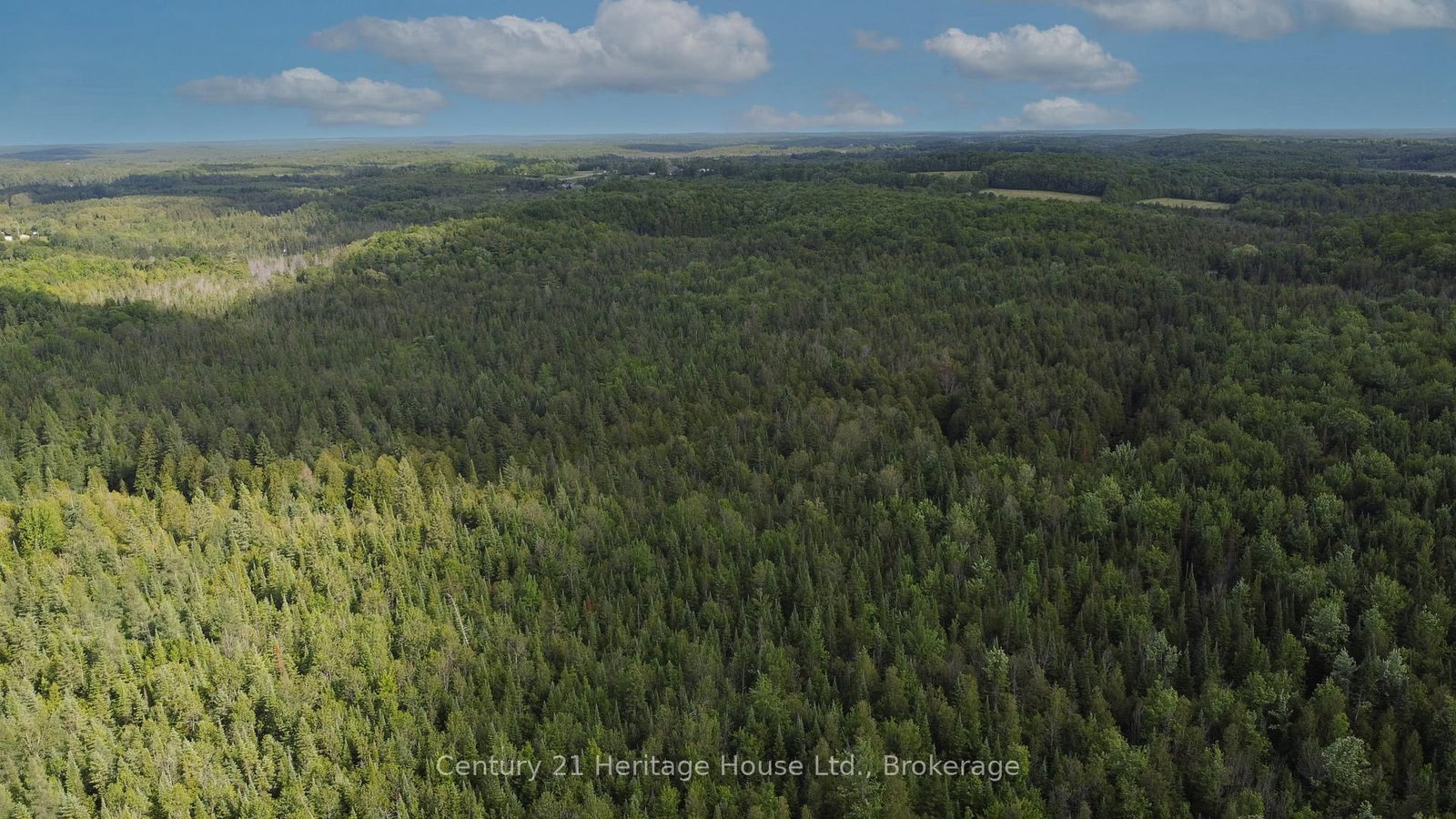 314844 6 Highway • West Grey, ON photo 47