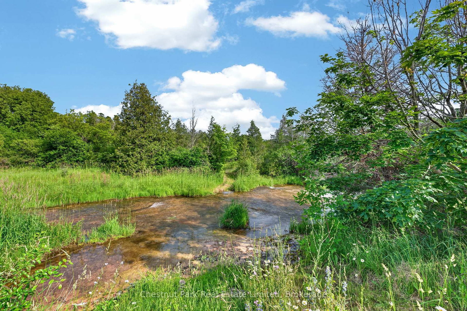 745 Crowes Road • Prince Edward County, ON photo 3