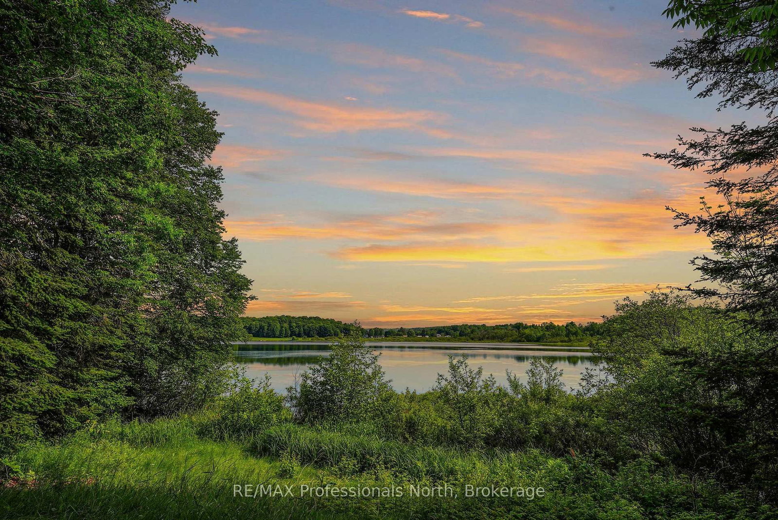 1187 WOODS Road • Dysart et al, ON photo 38