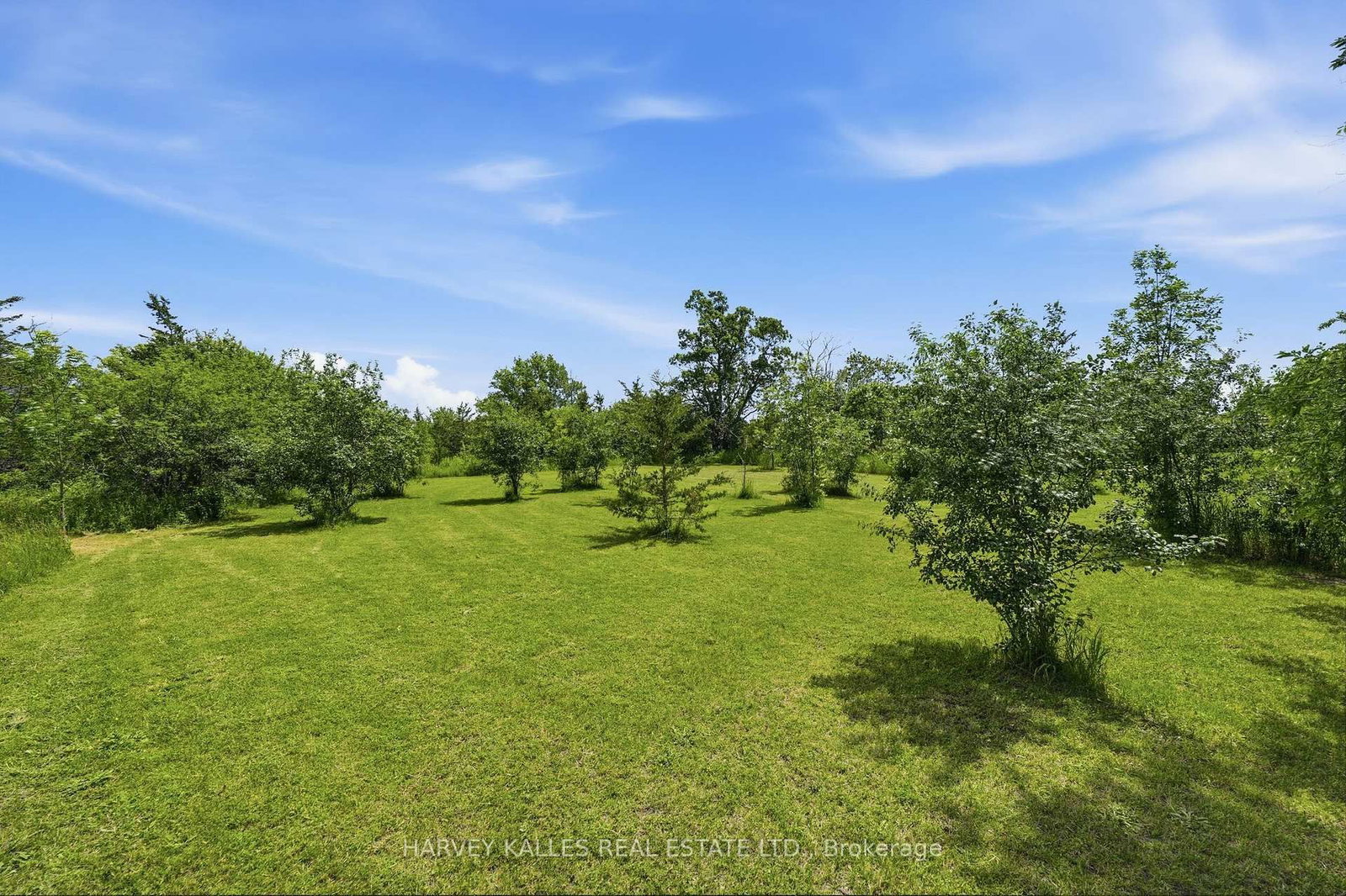 511 County Road 8 • Prince Edward County, ON photo 38