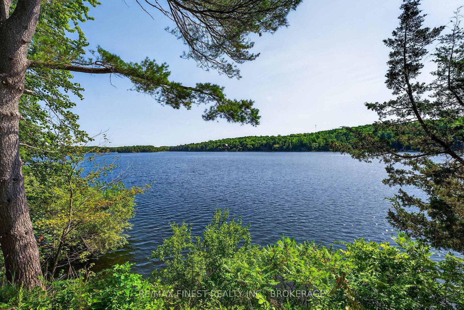 1076 Chester Lane • Hartington, ON photo 3