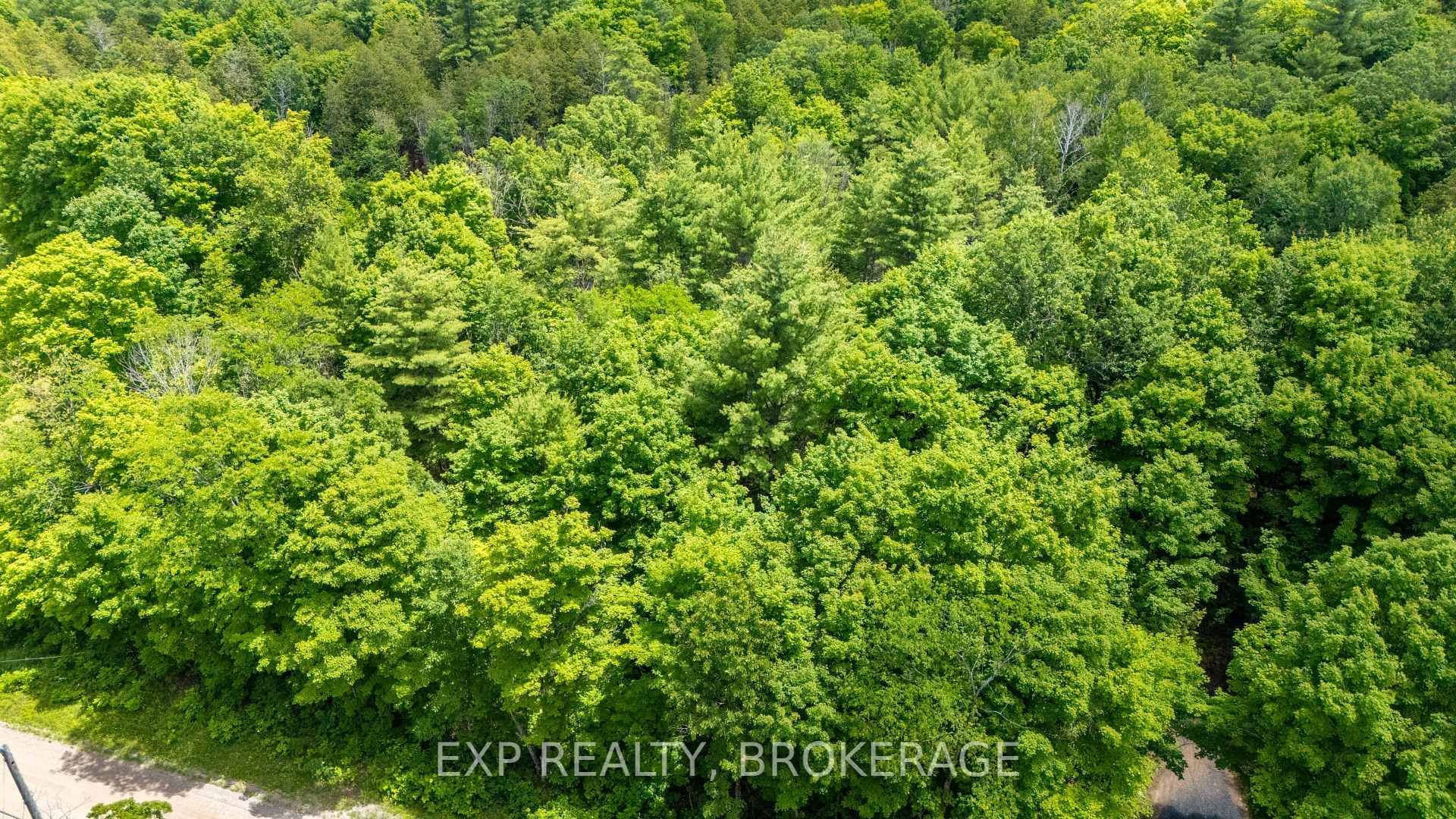 1881 ELM TREE Road