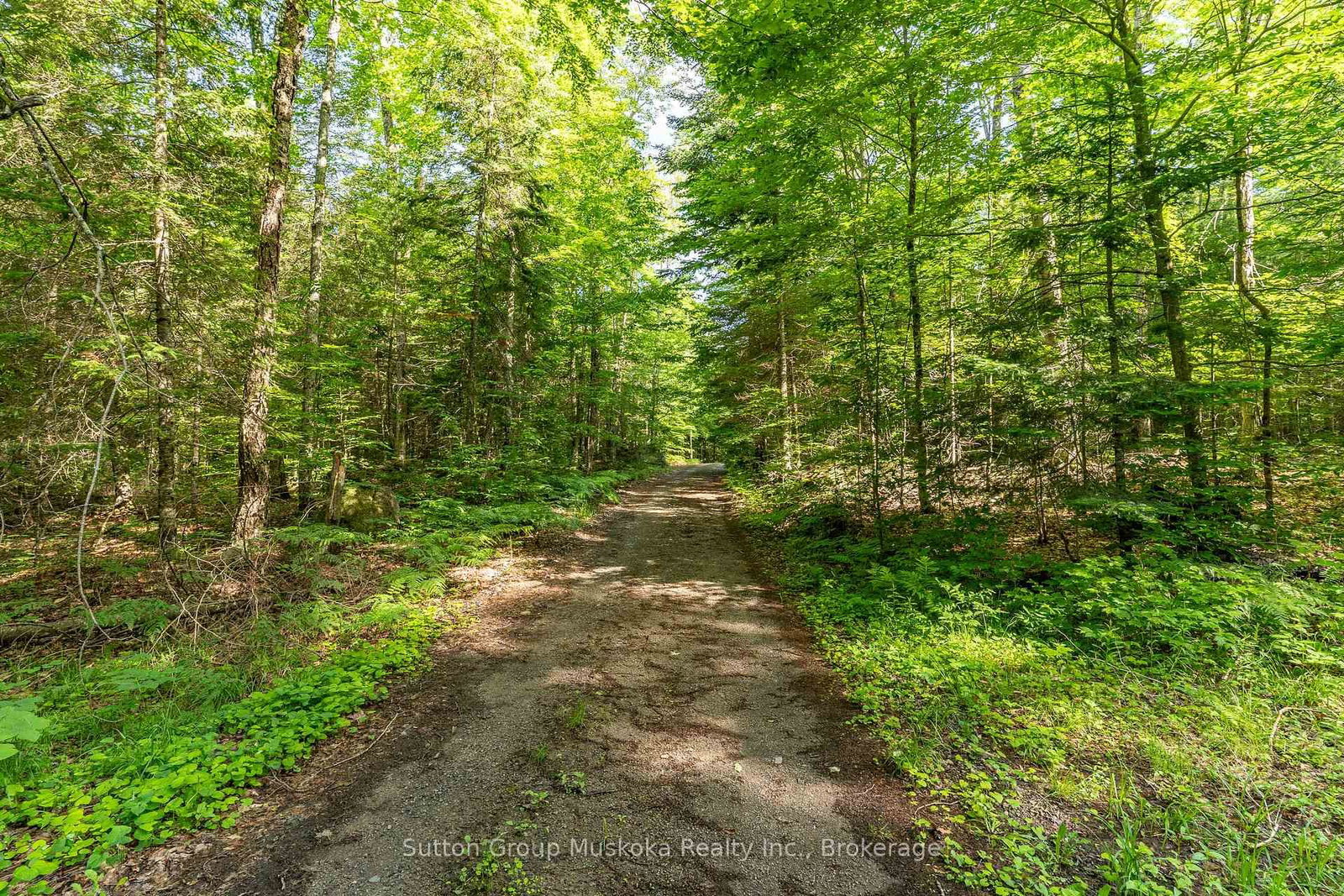 614 Britannia Road • Huntsville, ON photo 10