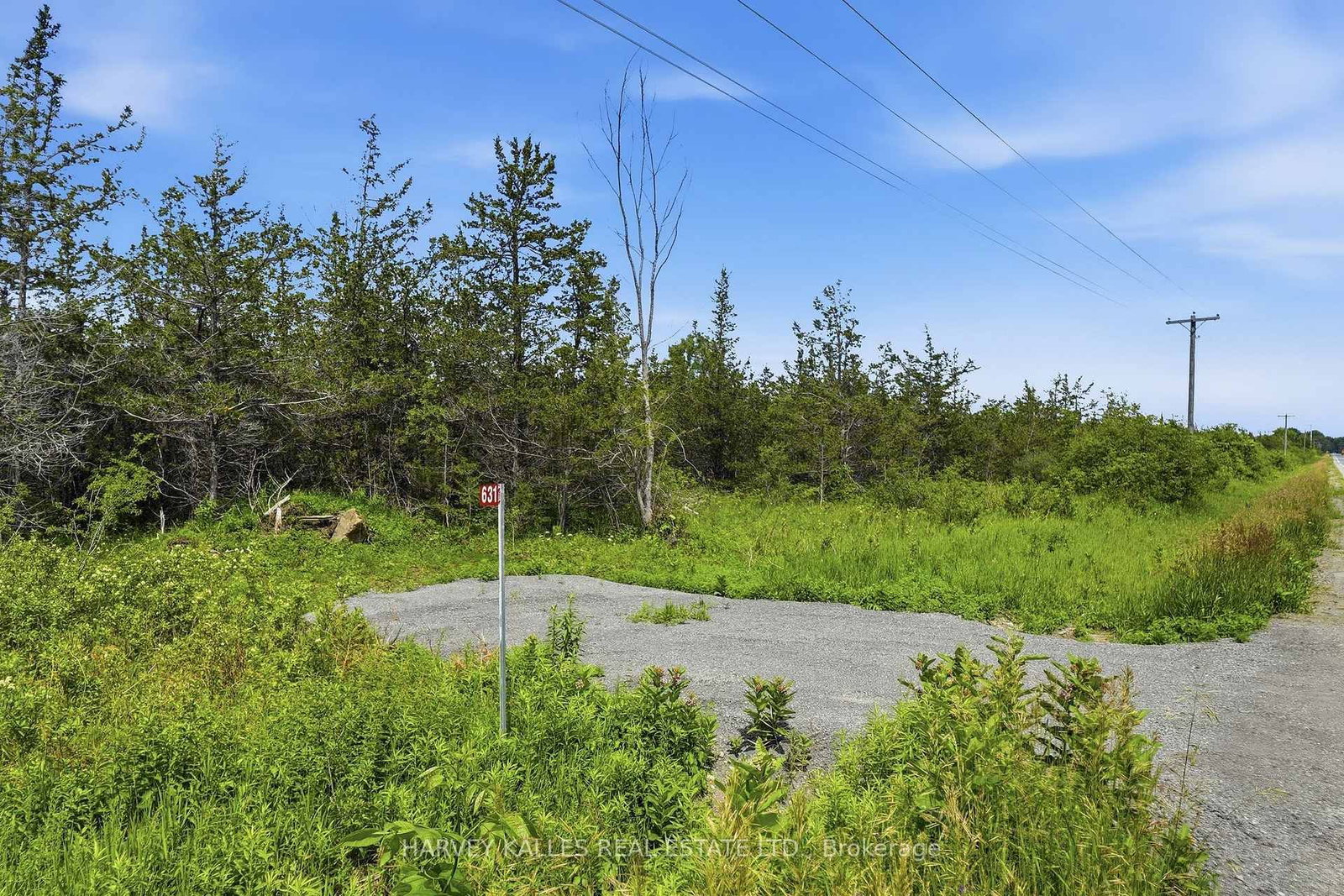 685 County 8 Road • Prince Edward County, ON photo 14