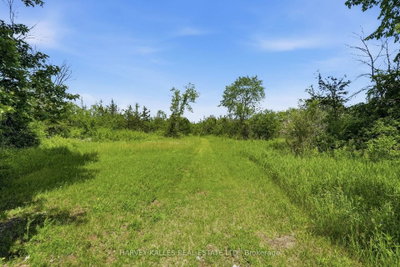 685 County 8 Road • Prince Edward County, ON photo 3