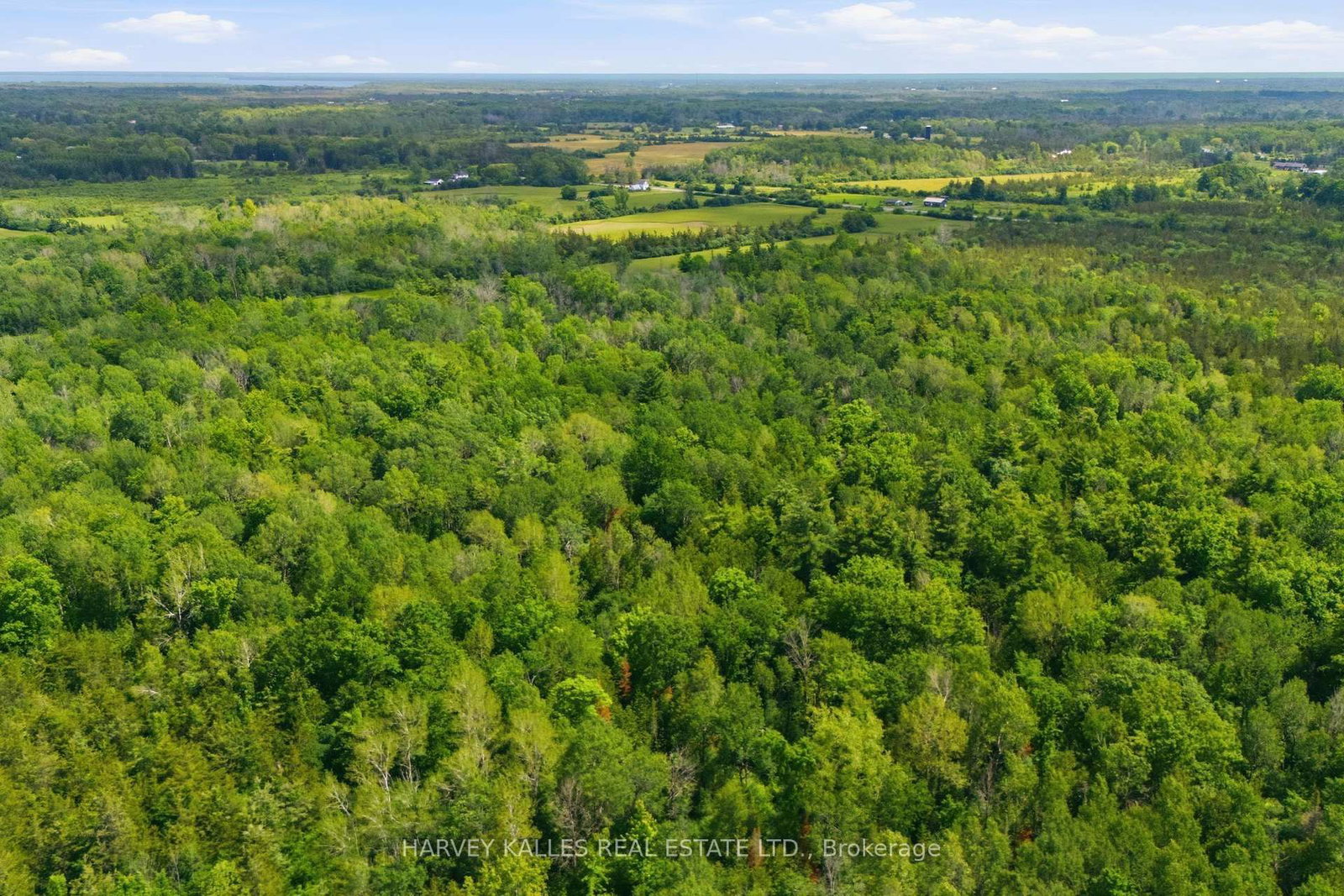 685 County 8 Road • Prince Edward County, ON photo 6