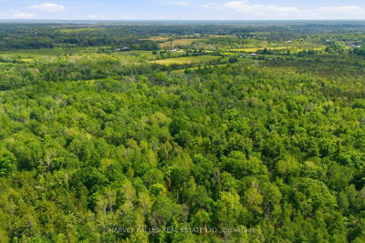 685 County 8 Road • Prince Edward County, ON photo 6