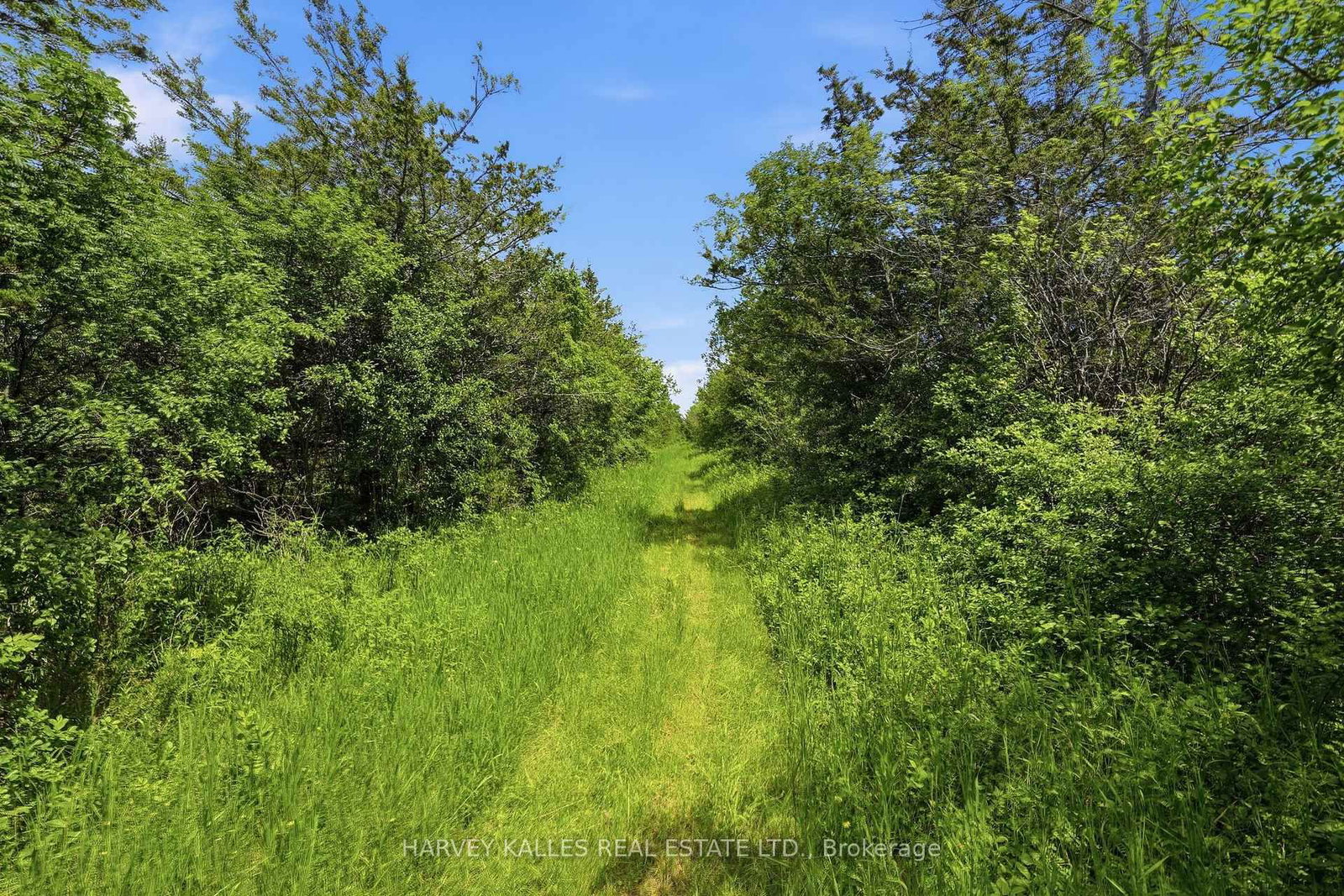 685 County 8 Road • Prince Edward County, ON photo 8