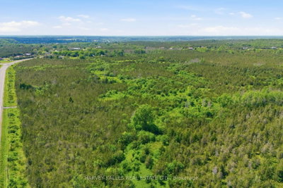 685 County 8 Road • Prince Edward County, ON photo 9