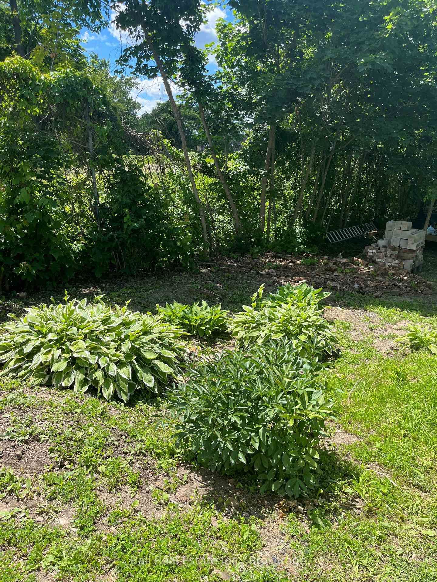 28 Booth Street N • Trent Hills, ON photo 44