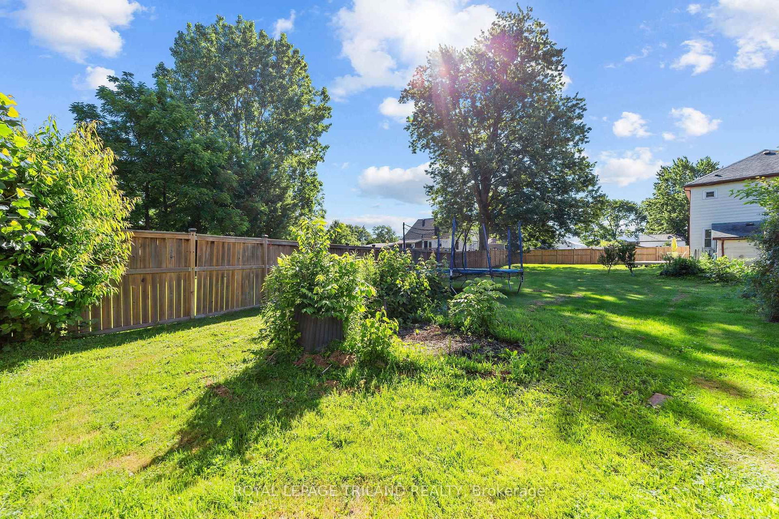 15 Dundas Street • Newbury, ON photo 16