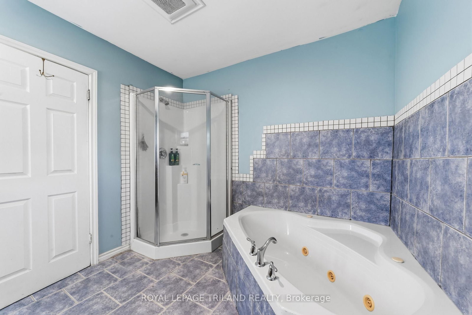 15 Dundas Street • Newbury, ON photo 38