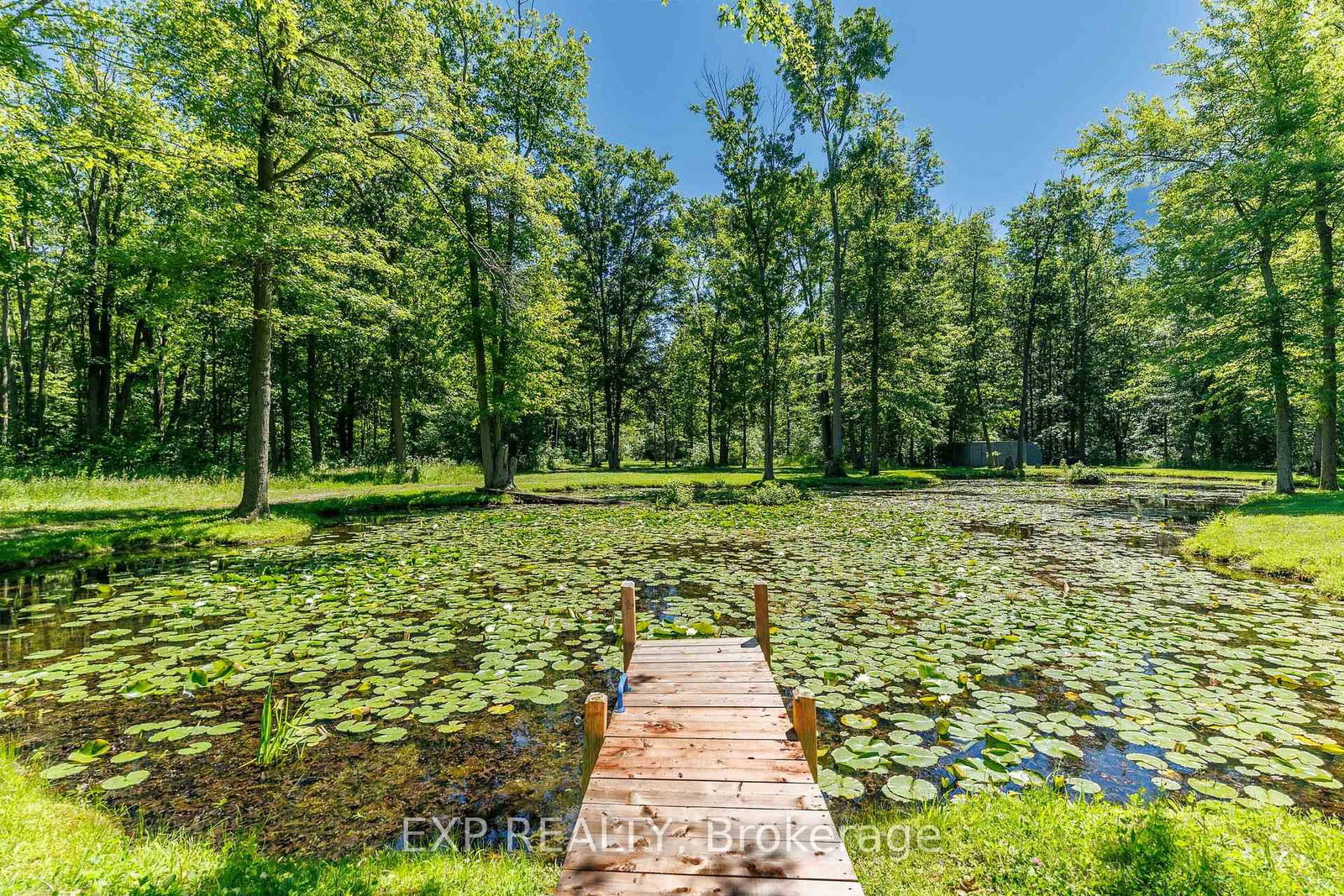 50849 O'Reilly's Road S • Wainfleet, ON photo 40