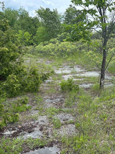 0 Tower Road • Madoc, ON photo 9