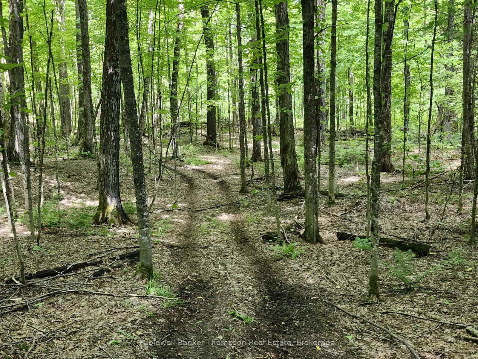 273 Simpson's Hill Road • Machar, ON photo 27