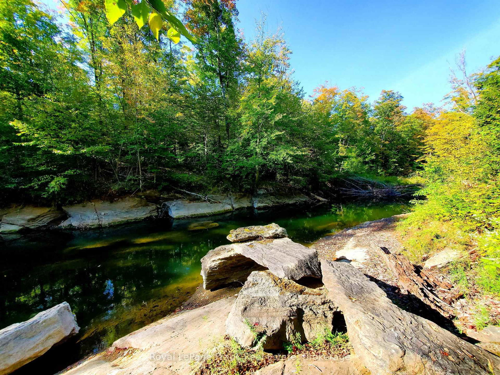 1804 Clydesdale Road • North Kawartha, ON photo 14