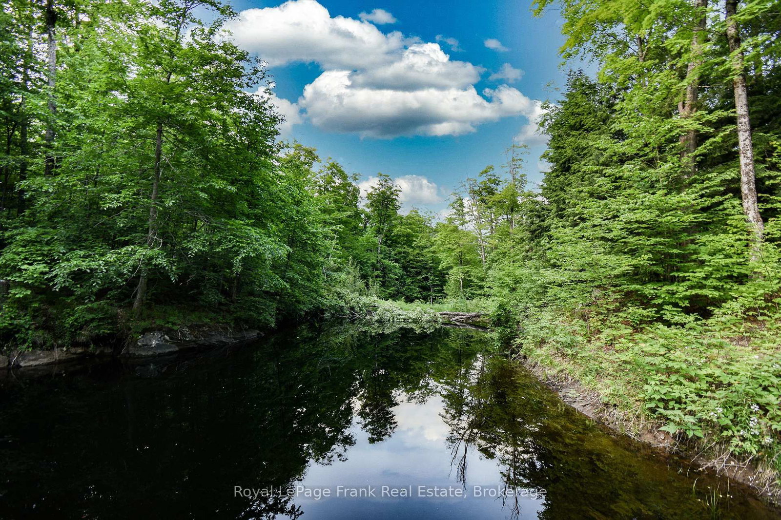 1804 Clydesdale Road • North Kawartha, ON photo 15