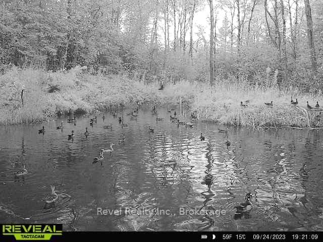 Vacant Land for sale at 0 LILAC ROAD AT PIGEON LAKE ROAD, Kawartha Lakes, Ontario, K9V 4R3 - Ops - MLS: X13492004