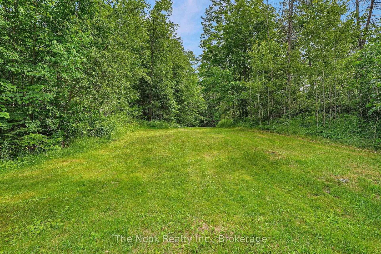 28 WESLEMKOON LAKE Road • Hastings, ON photo 5