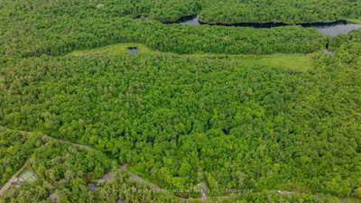 00 Foreman Road — photo 4