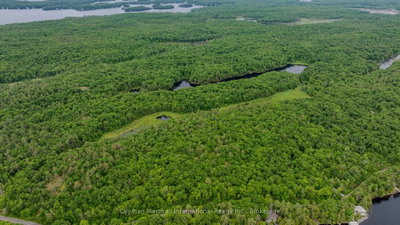 00 Foreman Road — photo 6