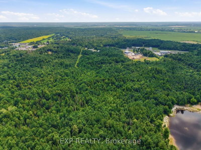 00 A2 CONCESSION ROAD 4 Road • Alfred and Plantagenet, ON photo 8