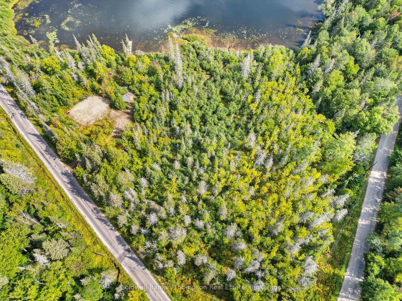 315 Scarlett Road