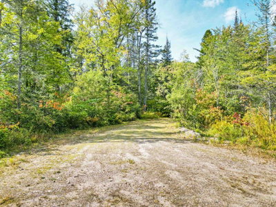 315 Scarlett Road • Machar, ON photo 9