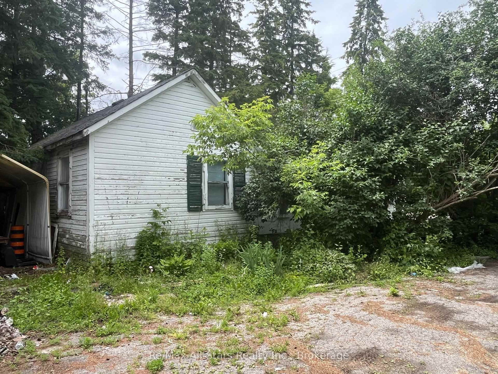 173 Lindsay Street S • Kawartha Lakes, ON photo 49