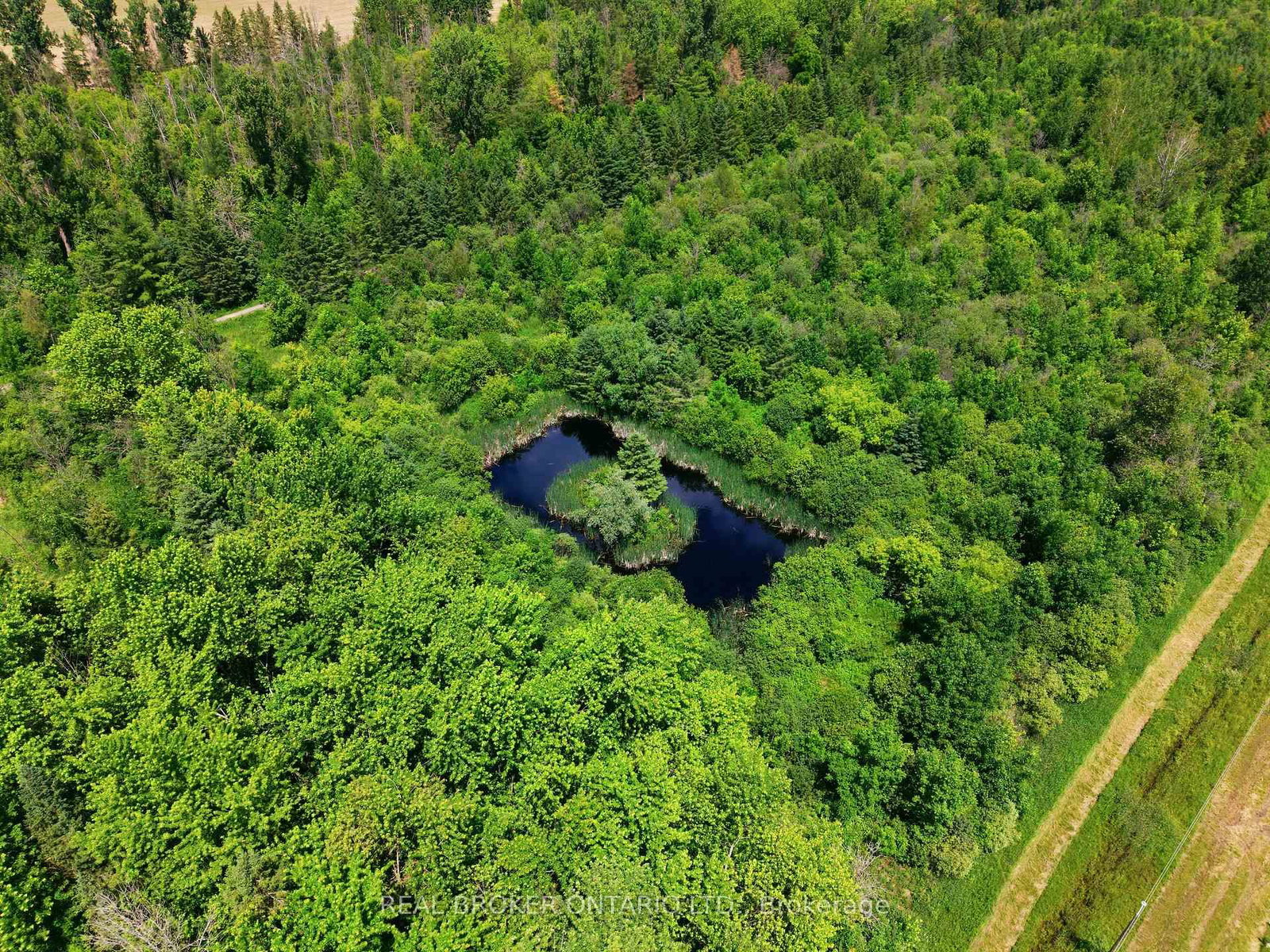 4184 Gordon Murdock Road • Osgoode, ON photo 42