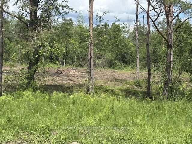 120 BOAT LAUNCH Road E