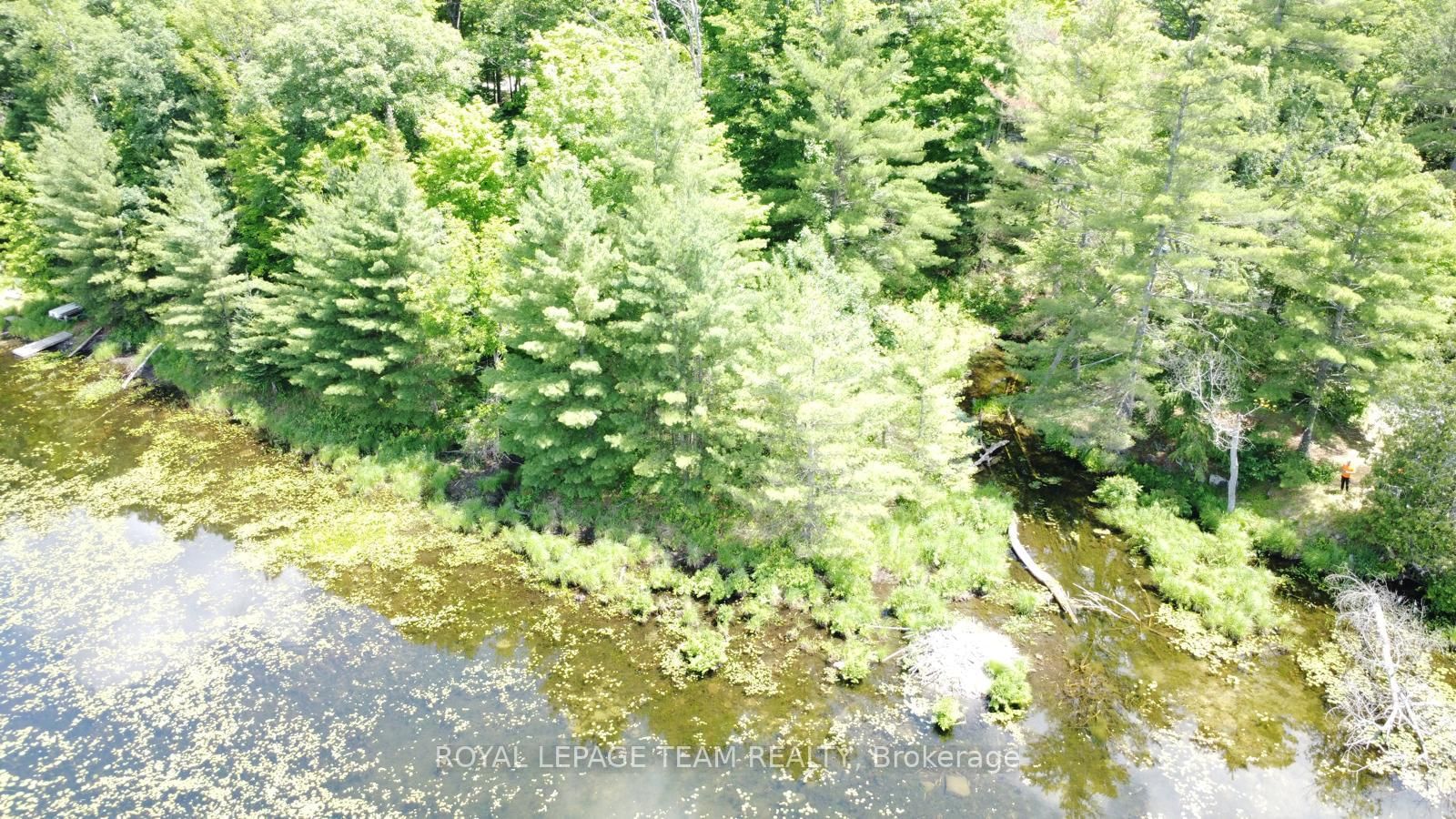 00 Little Silver Lake Road • Maberly, ON photo 11
