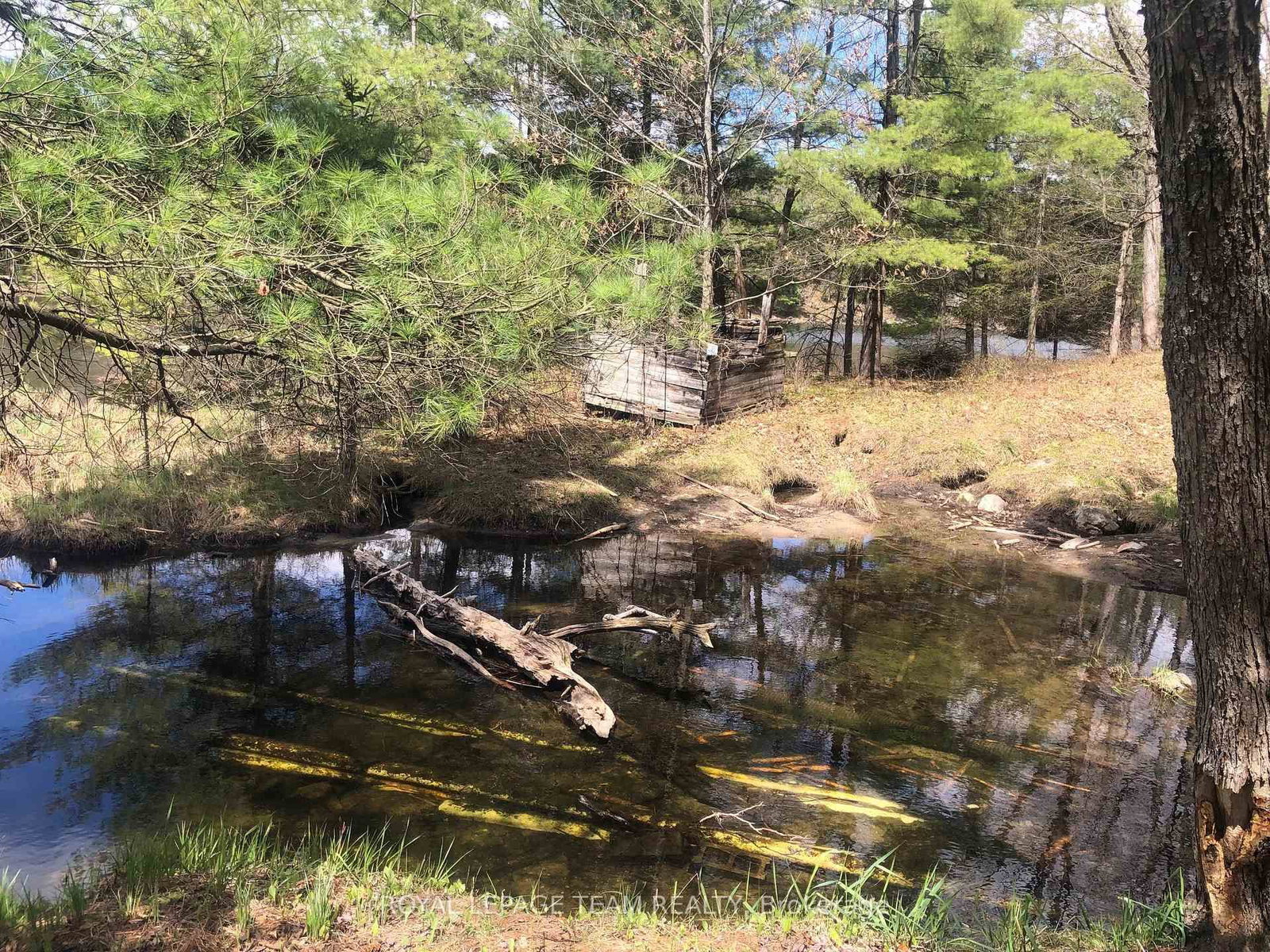 00 Little Silver Lake Road • Maberly, ON photo 16