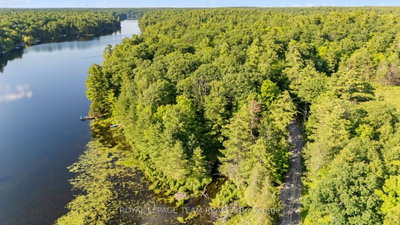 00 Little Silver Lake Road • Maberly, ON photo 4