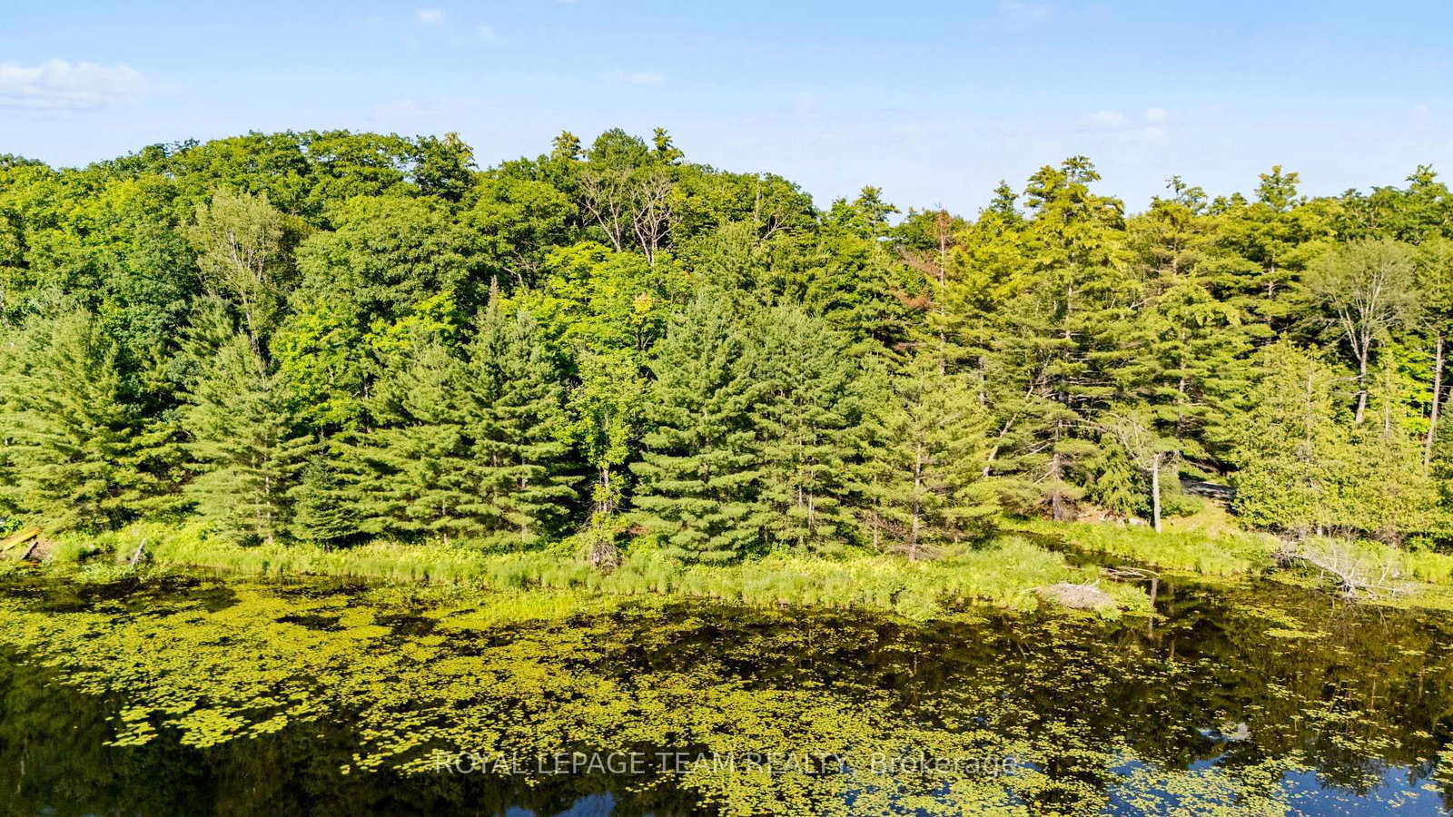 00 Little Silver Lake Road • Maberly, ON photo 5