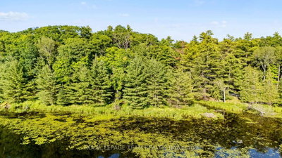 00 Little Silver Lake Road • Maberly, ON photo 5