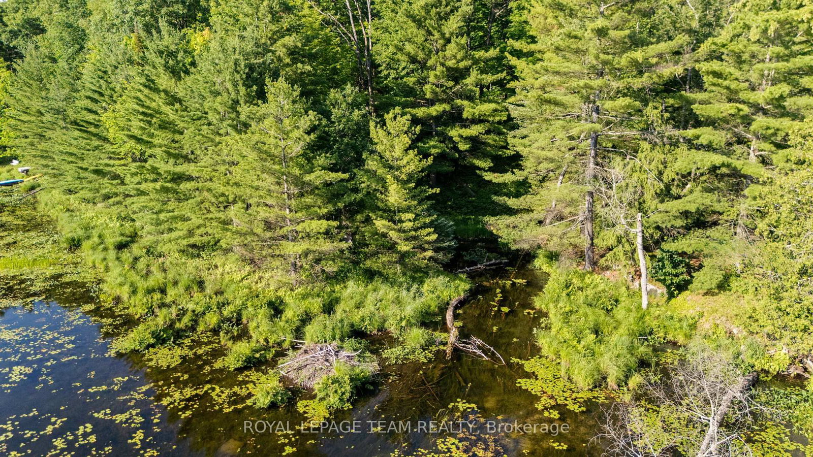 00 Little Silver Lake Road • Maberly, ON photo 6