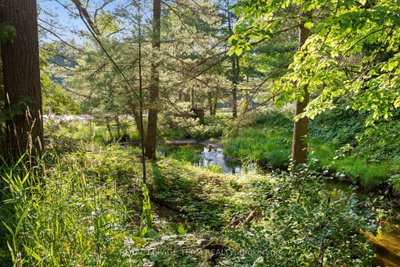 00 Little Silver Lake Road • Maberly, ON photo 8