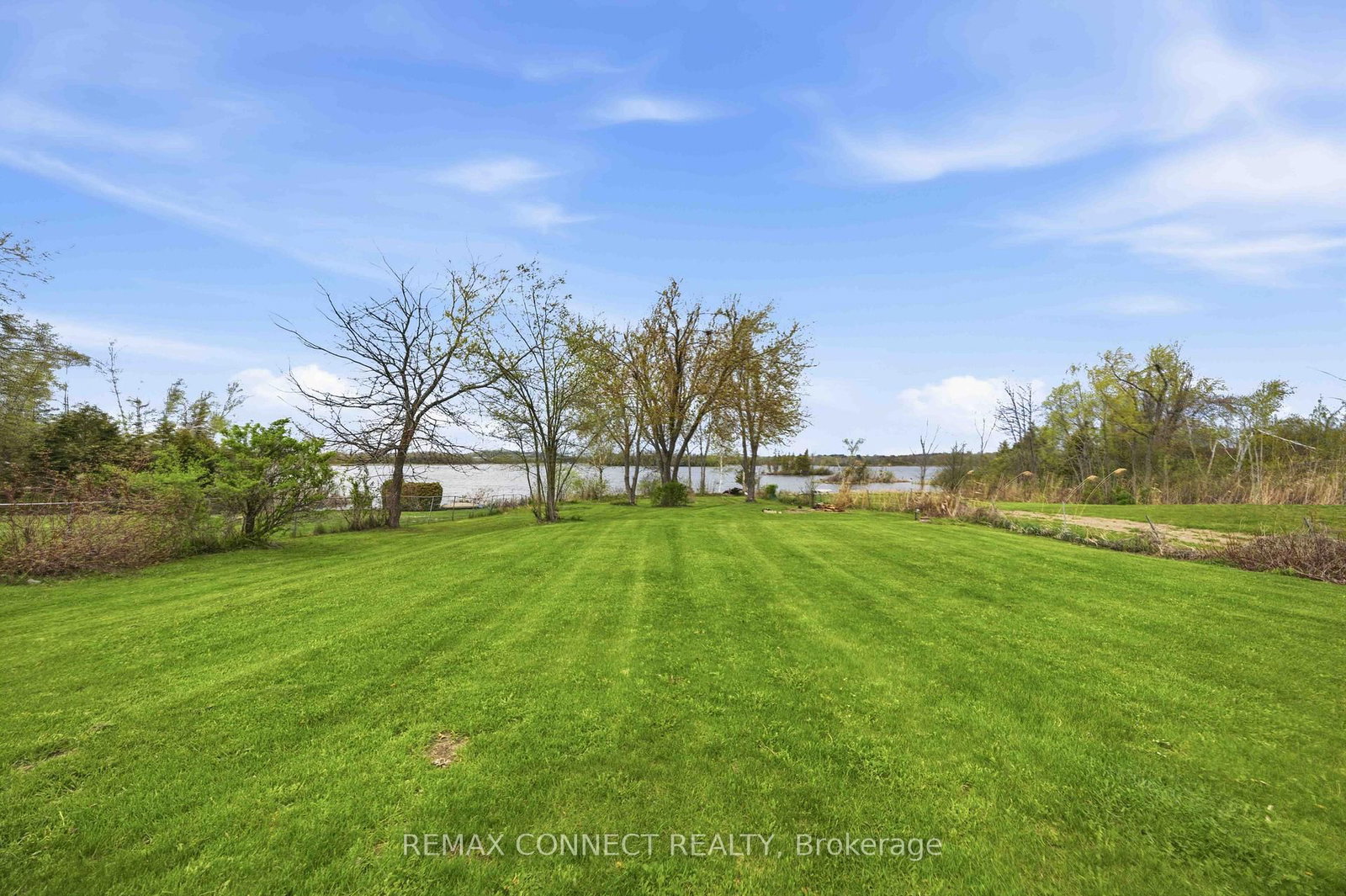 36 Helen Drive • Kawartha Lakes, ON photo 45