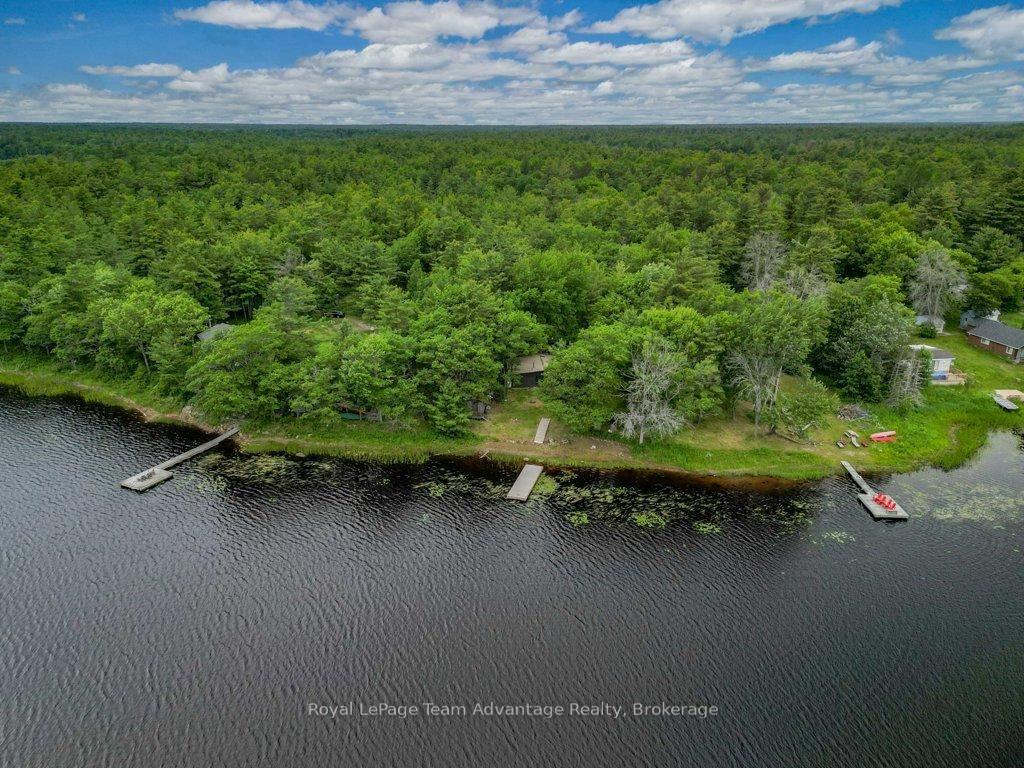 3 N Poachers Point • Carling, ON photo 50